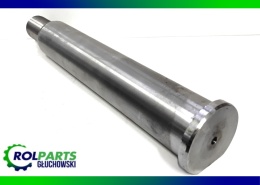 Sworzeń osi głównej Ostrówek